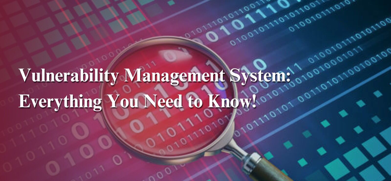 Vulnerability Management Systems